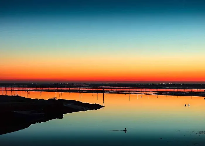 In 3 روسولينا ماري